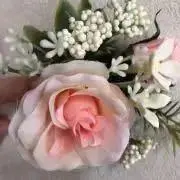 ちゃこの画像