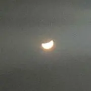 ぴの画像