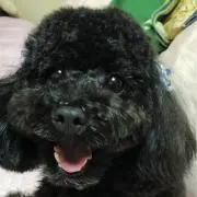 サン吉