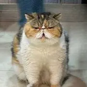 jungzwwの画像