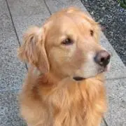 馬超の画像