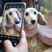 姉妹mama 売り切り希望の画像