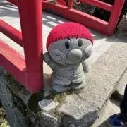 ピノの画像