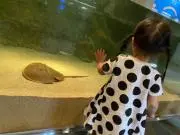 tokotokoの画像