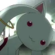 翔@