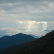 pochiの画像