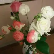 ぽん　ご購入前にコメントくださいの画像