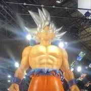 ホル