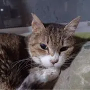 サンチュ 目指せ売り上げ40000円！！の画像