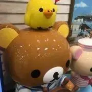 rokoの画像