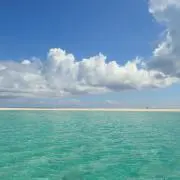 Bluediveの画像