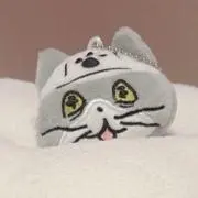 あいの画像