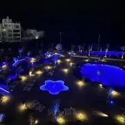 ゆーの画像