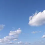 ぴぴの画像