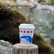 ナナの画像