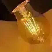たにしの画像