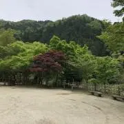 Tooo(8/9〜出品一時停止します)の画像