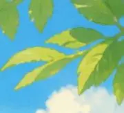 sioの画像
