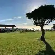 sironoの画像