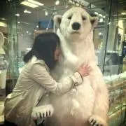 みゆきち