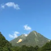 T1551の画像