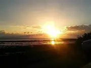 ひまわり☆プロフ確認お願いしますの画像