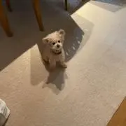 里紗の画像