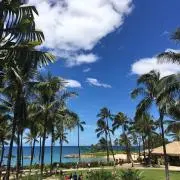 わっしょい