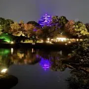 エースの14の画像