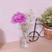 kateの画像