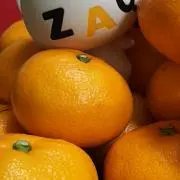 みかんの画像