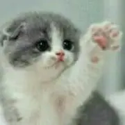 そちゃに☆プロフ確認お願いします☆の画像