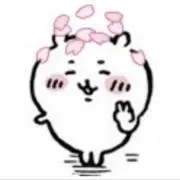 nnの画像