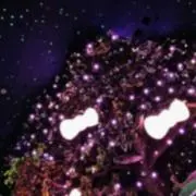 Megumi.の画像