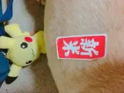 あの人の画像