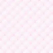 たんたんの画像