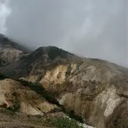 タローの画像