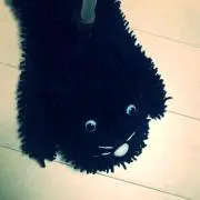 きくてぃぼう