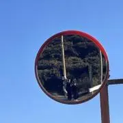 むっくりの画像