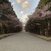 woodの画像