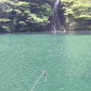 たくすの画像