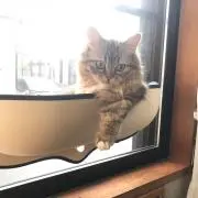 みとるの画像