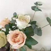 NATURA☆の画像