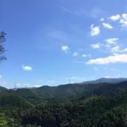 ちびぞうの画像