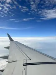 あおいの画像