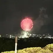 ジャッキーの画像