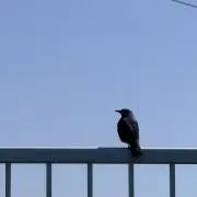 人間の尊厳の画像