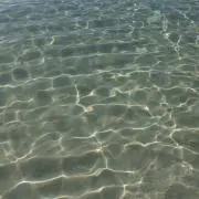 ゆーの画像