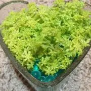 あっきーの画像