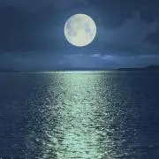 mjの画像